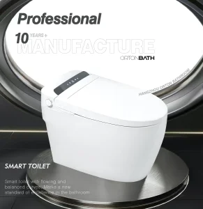 Modern Toilet Bidet Combo