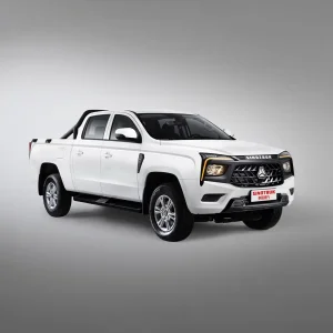 Vgv Sinotruk Bolden Pickup R101 New/Used Truck with Cheap Price