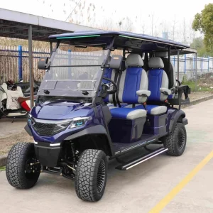 48V Equipamento de Golfe Elegante