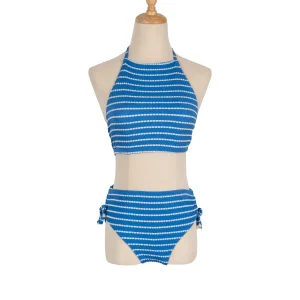Luxurious Shimmering Women's Two-Piece Swimsuit