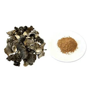 100% Water Soluble Turkey Tail Mushroom Extract Powder 30% Polysaccharides