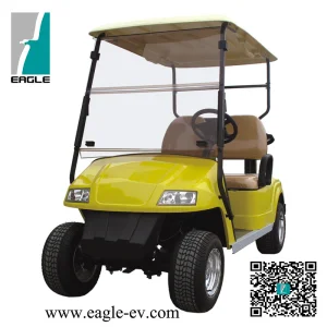2 Seat New Condition CE Approved Golf Cart Parts Wholesale