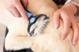 Escova de Grooming para Animais de Estimação em Aço Inoxidável, Ecológica e Confortável