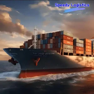 Cheap Freight DDP Service to USA, India, Nigeria, Pakistan, Brazil Sea Shipping Agent
