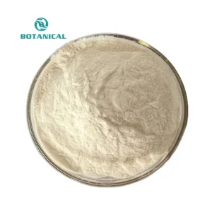 Soy Bean Isolate Protein Powder