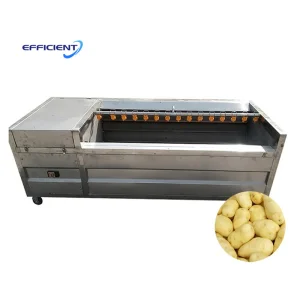New Vegetable Automatic Sweet Cassava Cleaning Ginger Washer Potato Peeling and Washing Machine