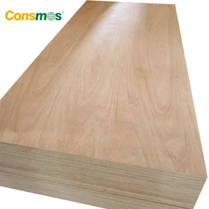Comsmos 12mm 15mm 18mm Bintangor Okoume Birch Pine Faced Commercial Plywood