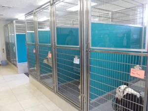 Wholesale Stainless Steel Dog Kennels