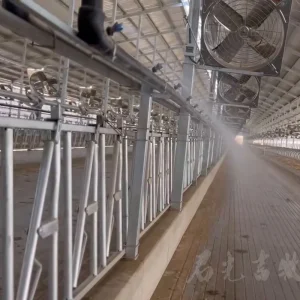 Sistema de Sprinkler para Resfriamento de Vacas