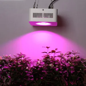200W COB LED