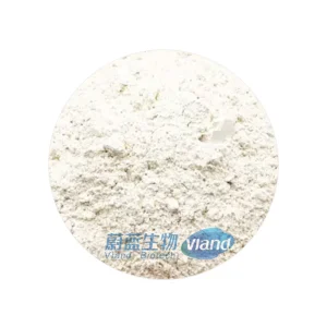 Hydrolyzed Brown Rice Protein