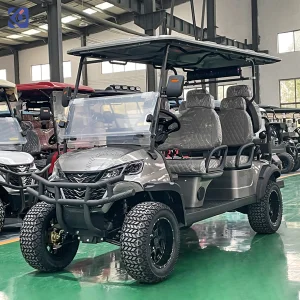 Luxury 6 Seater Cart