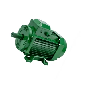 High-Torque Geared Motor Three Phase Asynchronous Motor with Squirrel-Cage Rotor for Reliable Performance