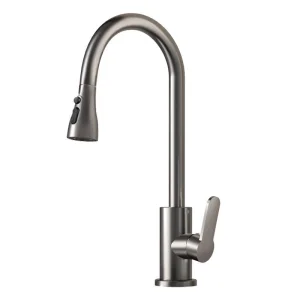 Contemporary Kitchen Faucet Dual Function
