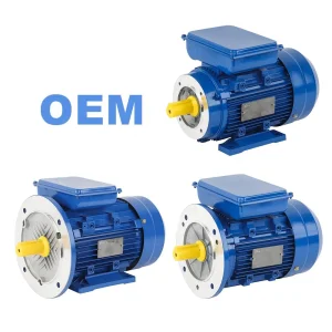 Hot Sale Electric Motor