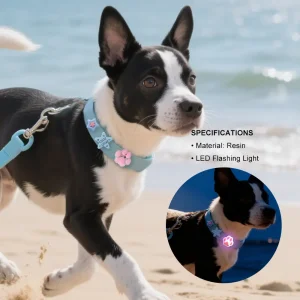 Wholesale LED Pet Leash Accessories