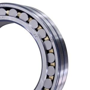 OEM Industrial Bearings Cylindrical Roller Bearing Corrosion-Resistant Bearings
