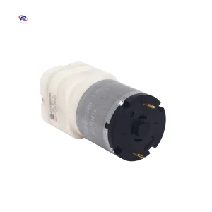 Manufacturer Direct Selling Small Electric 5L/min 12v DC Brushed Motor Micro Mini Diaphragm Motor