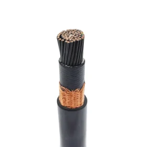Control Cable