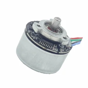 Customizable Good Quality BLDC Motor