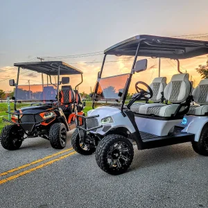 Street Legal LSV Electric Golf Cart