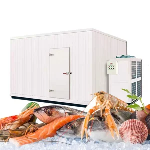 Congelador Comercial Pequeno 50kg/H para Preservação de Legumes
