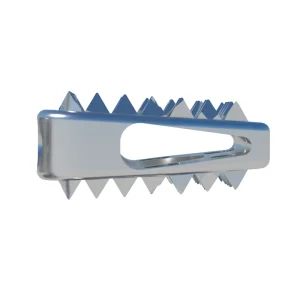Orthopedic Surgery Implant High Quality Anterior Cervical Interbody Fusion Device Titanium Alloy CE Certified Class III 5-Year