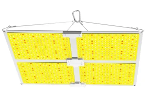 Quantum Board-Q 440W