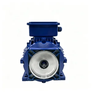 Hydraulic Motor