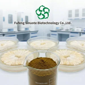 Cordyceps Sinensis Extract CS-4