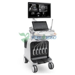 Sistema de Ultrasonido Doppler Color de Hospital Médico P80