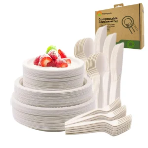 ECO-friendly ODM Biodegradable Sugarcane Bagasse Plate