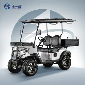 2 Seater Electric Golf Cart