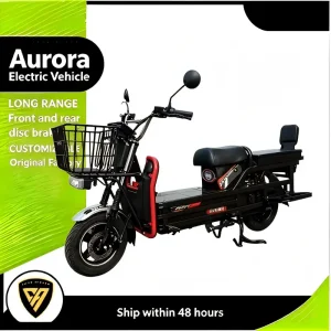 OEM Heavy Load Long Range Cargo Electric Bike