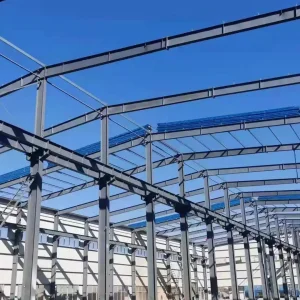 Modern Eco-Friendly Prefabricated Steel Structure Farmhouse For Cattle Sheep Horses Pigs And Livestock