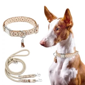 Conjunto de Coleira e Guia Luxuosa