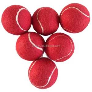 Pet Training Tennis Ball Toy