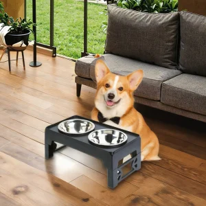 2-in-1 Collapsible Elevated Feeder
