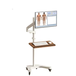9D Whole-Body Health Scanner Comprehensive Assessment System for Sub-Healthy States Intelligent Quantum Health Detector Dynamic