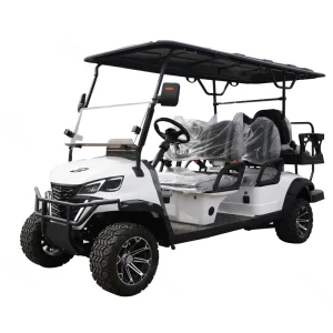 FURD Mini Luxury Antique Electric Golf Cart