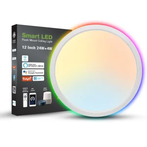 Alexa Google Home Wifi Control Panel Light