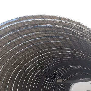 Prefabricated Steel Structure Warehouse Building Coal Storage Facility of The Power Plant