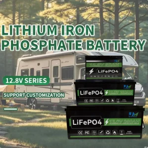 Batería 12V 24V LiFePO4