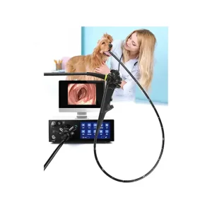Medical Machine Diagnosis Equipment Manufacturers Pet Solution Supplier Xbx Gastrointestinal Endoscope Host