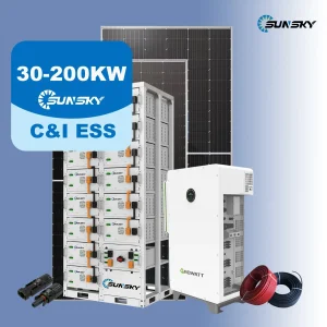 Growatt Free Shipping 10kw 30kw 50kw 100kw Hybrid Solar Energy System Lithium Battery 100kVA 200kVA Solar Storage System High Voltage Inverter for Commeicial