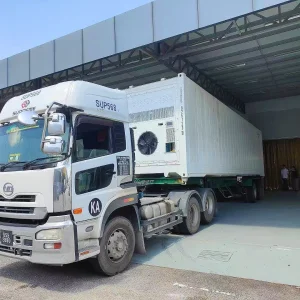 Smart CA Durian Reefer Container