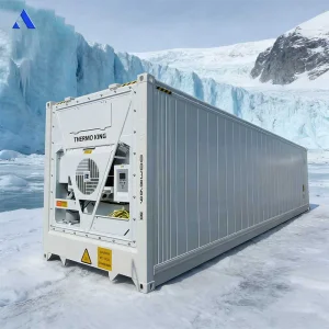 BV Certified 40ft Refrigerated Reefer Shipping Container 40 Feet for Storage Flowers Medicines and Seafood