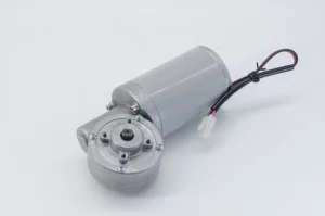 Worm Gear Motor