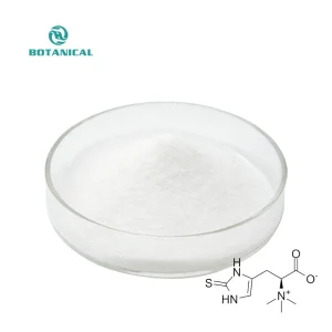 High Quality Ergothioneine (EGT) 99% High Purity Natural Antioxidant for Anti-Aging &amp; Cellular Health
