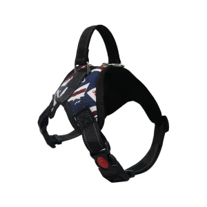 Cushioned Chest Compression and Reflective Breathable Premium Safety Mesh Pet Dog Harness